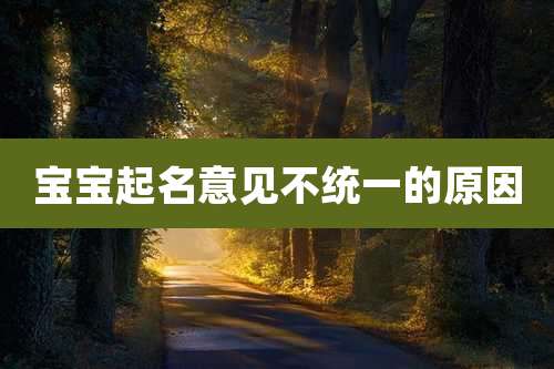 宝宝起名意见不统一的原因