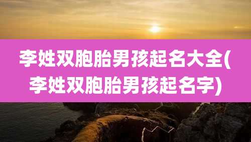 李姓双胞胎男孩起名大全(李姓双胞胎男孩起名字)