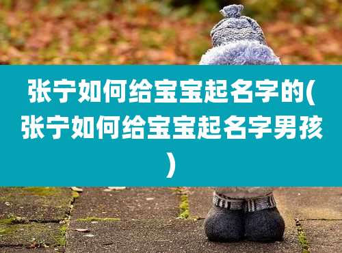张宁如何给宝宝起名字的(张宁如何给宝宝起名字男孩)
