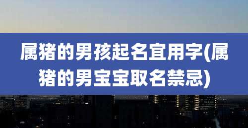属猪的男孩起名宜用字(属猪的男宝宝取名禁忌)