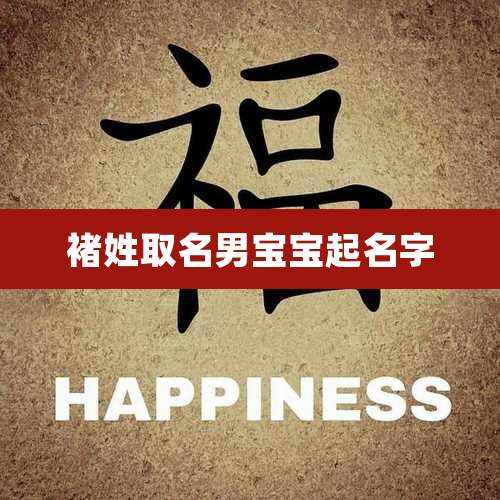 褚姓取名男宝宝起名字