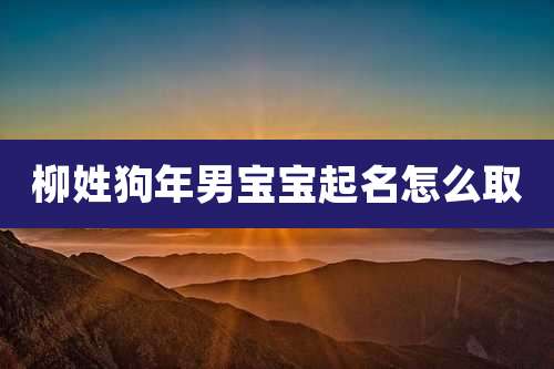 柳姓狗年男宝宝起名怎么取
