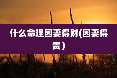 什么命理因妻得财(因妻得贵）