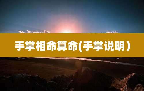 手掌相命算命(手掌说明）