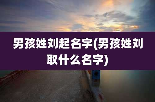 男孩姓刘起名字(男孩姓刘取什么名字)