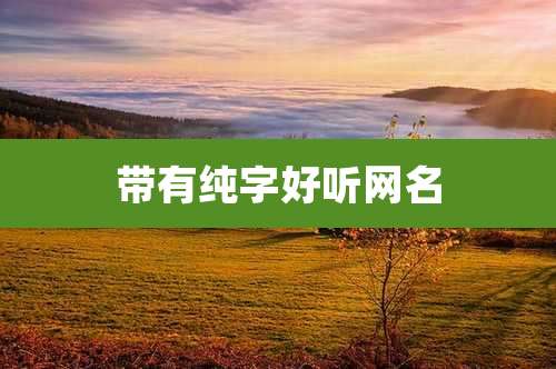 带有纯字好听网名
