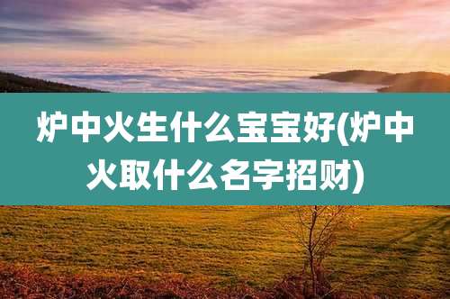 炉中火生什么宝宝好(炉中火取什么名字招财)