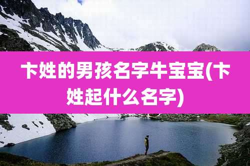 卞姓的男孩名字牛宝宝(卞姓起什么名字)