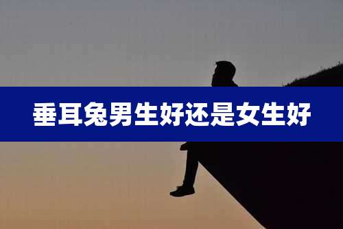 垂耳兔男生好还是女生好