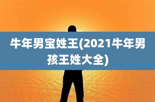 牛年男宝姓王(2021牛年男孩王姓大全)