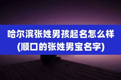 哈尔滨张姓男孩起名怎么样(顺口的张姓男宝名字)