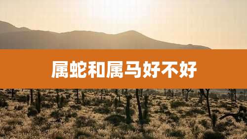 属蛇和属马好不好