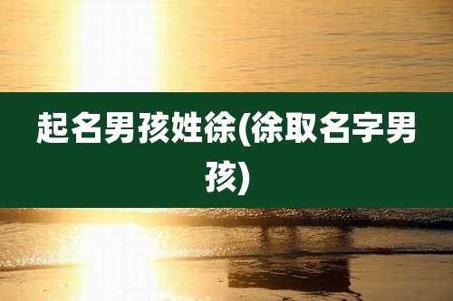 起名男孩姓徐(徐取名字男孩)