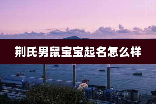 荆氏男鼠宝宝起名怎么样