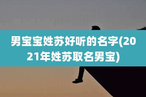 男宝宝姓苏好听的名字(2021年姓苏取名男宝)