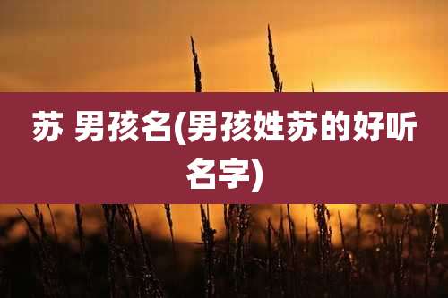 苏 男孩名(男孩姓苏的好听名字)