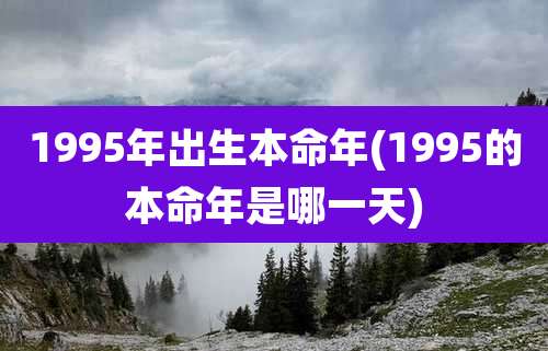 1995年出生本命年(1995的本命年是哪一天)