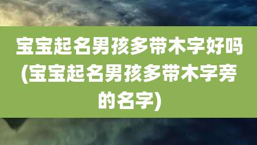 宝宝起名男孩多带木字好吗(宝宝起名男孩多带木字旁的名字)