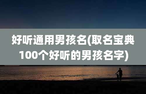 好听通用男孩名(取名宝典100个好听的男孩名字)