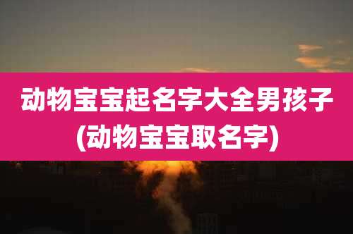 动物宝宝起名字大全男孩子(动物宝宝取名字)
