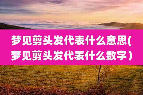 梦见剪头发代表什么意思(梦见剪头发代表什么数字)