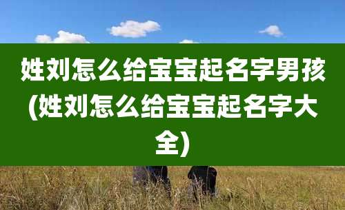 姓刘怎么给宝宝起名字男孩(姓刘怎么给宝宝起名字大全)