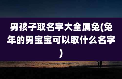 男孩子取名字大全属兔(兔年的男宝宝可以取什么名字)