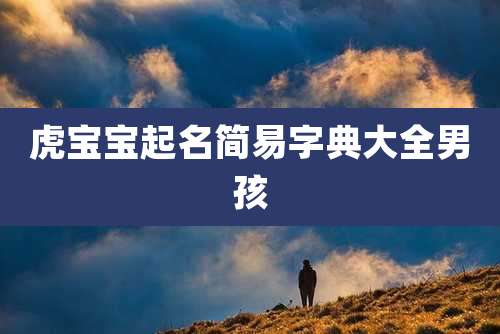 虎宝宝起名简易字典大全男孩