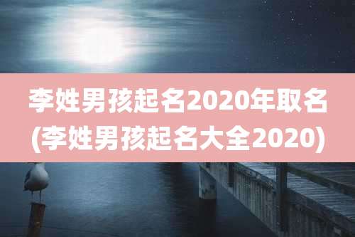 李姓男孩起名2020年取名(李姓男孩起名大全2020)