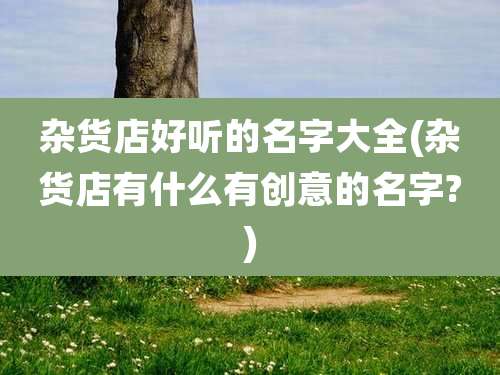 杂货店好听的名字大全(杂货店有什么有创意的名字?)