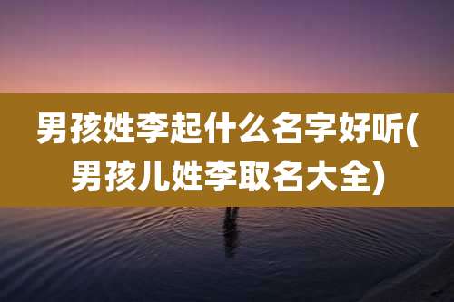 男孩姓李起什么名字好听(男孩儿姓李取名大全)
