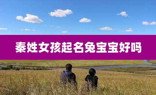 秦姓女孩起名兔宝宝好吗