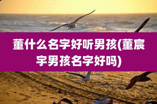 董什么名字好听男孩(董宸宇男孩名字好吗)