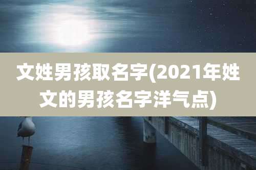 文姓男孩取名字(2021年姓文的男孩名字洋气点)