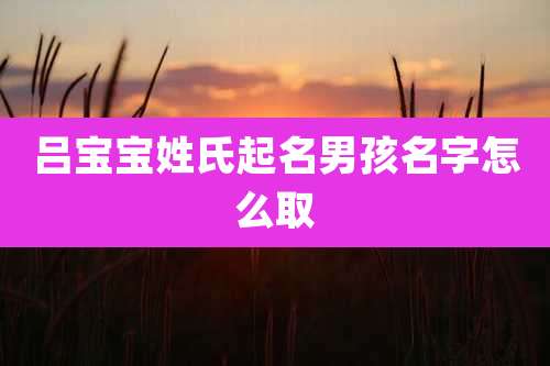 吕宝宝姓氏起名男孩名字怎么取