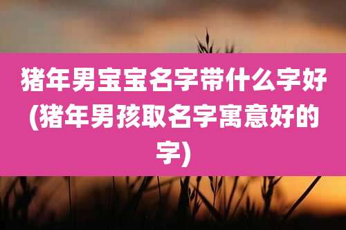 猪年男宝宝名字带什么字好(猪年男孩取名字寓意好的字)