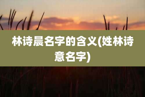 林诗晨名字的含义(姓林诗意名字)