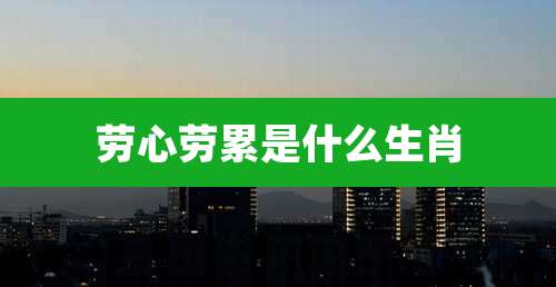 劳心劳累是什么生肖