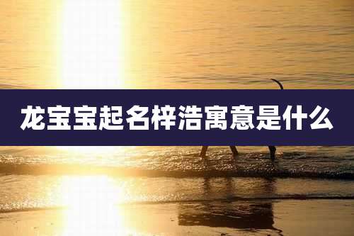 龙宝宝起名梓浩寓意是什么