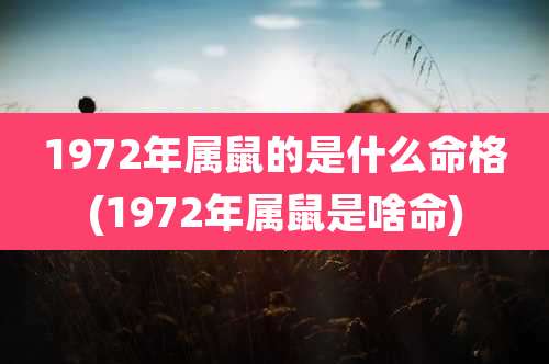 1972年属鼠的是什么命格(1972年属鼠是啥命)