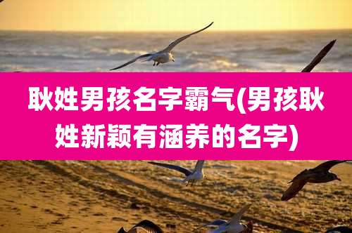 耿姓男孩名字霸气(男孩耿姓新颖有涵养的名字)