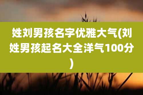 姓刘男孩名字优雅大气(刘姓男孩起名大全洋气100分)