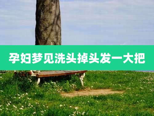 孕妇梦见洗头掉头发一大把