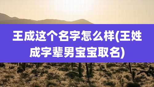 王成这个名字怎么样(王姓成字辈男宝宝取名)