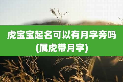 虎宝宝起名可以有月字旁吗(属虎带月字)