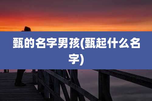 甄的名字男孩(甄起什么名字)