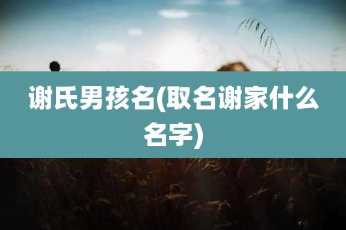 谢氏男孩名(取名谢家什么名字)