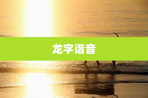 龙字谐音