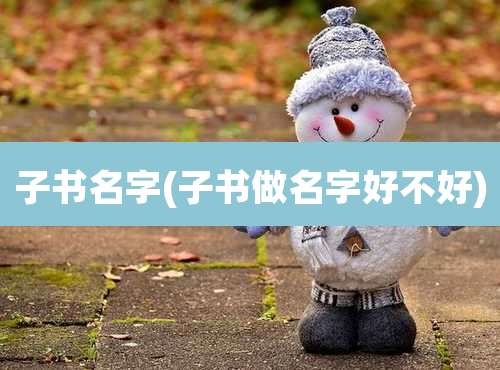 子书名字(子书做名字好不好)