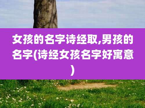 女孩的名字诗经取,男孩的名字(诗经女孩名字好寓意)